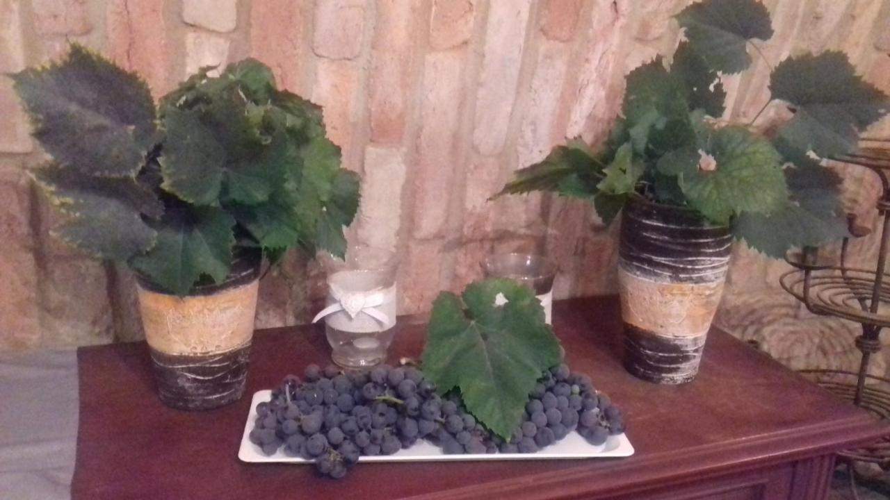 U Stepana